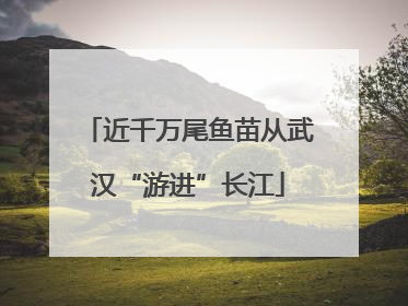 近千万尾鱼苗从武汉“游进”长江