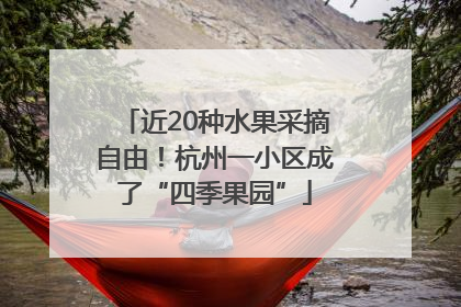 近20种水果采摘自由！杭州一小区成了“四季果园”