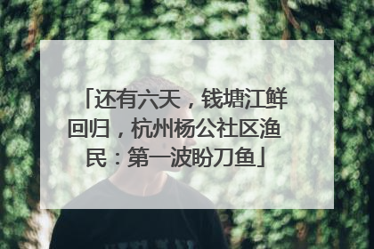 还有六天，钱塘江鲜回归，杭州杨公社区渔民：第一波盼刀鱼