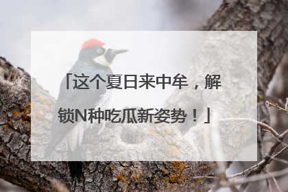 这个夏日来中牟，解锁N种吃瓜新姿势！