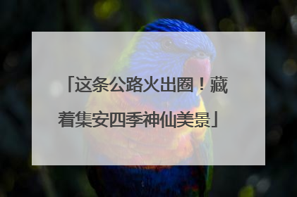 这条公路火出圈！藏着集安四季神仙美景