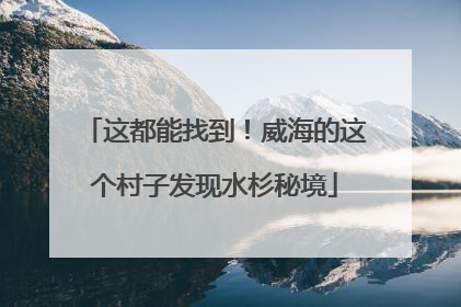 这都能找到！威海的这个村子发现水杉秘境