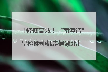 轻便高效！“南漳造”旱稻播种机走俏湖北