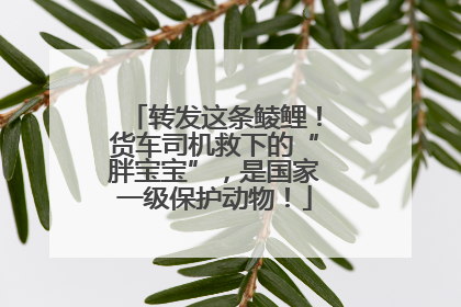 转发这条鲮鲤！货车司机救下的“胖宝宝”，是国家一级保护动物！