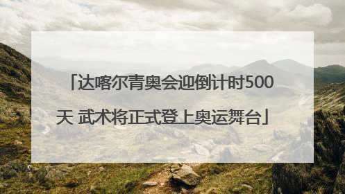 达喀尔青奥会迎倒计时500天 武术将正式登上奥运舞台