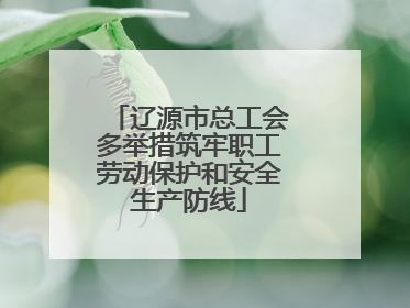 辽源市总工会多举措筑牢职工劳动保护和安全生产防线