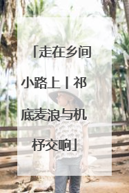 走在乡间小路上丨祁底麦浪与机杼交响