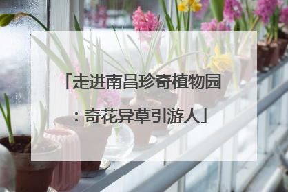 走进南昌珍奇植物园：奇花异草引游人