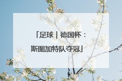 足球｜德国杯：斯图加特队夺冠