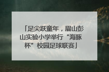 足尖跃童年，眉山彭山实验小学举行“海豚杯”校园足球联赛