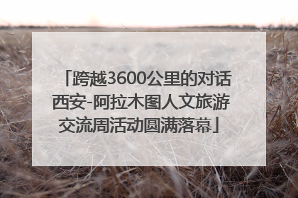 跨越3600公里的对话 西安-阿拉木图人文旅游交流周活动圆满落幕
