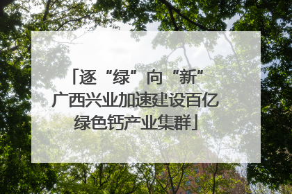 逐“绿”向“新” 广西兴业加速建设百亿绿色钙产业集群