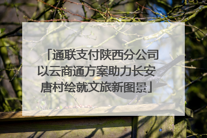 通联支付陕西分公司以云商通方案助力长安唐村绘就文旅新图景