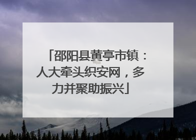 邵阳县黄亭市镇：人大牵头织安网，多力并聚助振兴