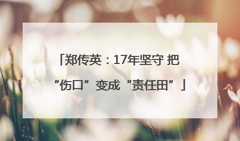 郑传英：17年坚守 把“伤口”变成“责任田”