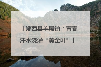 郧西县羊尾镇：青春汗水浇灌“黄金叶”
