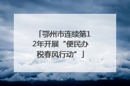 鄂州市连续第12年开展“便民办税春风行动”