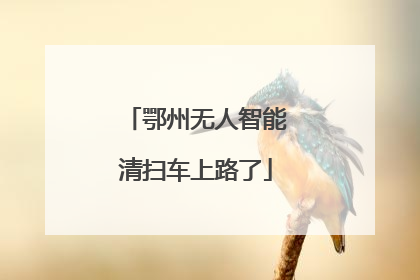 鄂州无人智能清扫车上路了