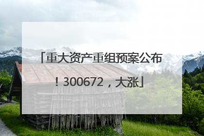 重大资产重组预案公布！300672，大涨