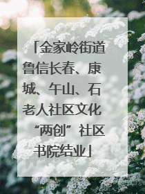 金家岭街道鲁信长春、康城、午山、石老人社区文化“两创”社区书院结业