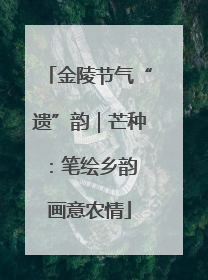 金陵节气“遗”韵｜芒种：笔绘乡韵 画意农情