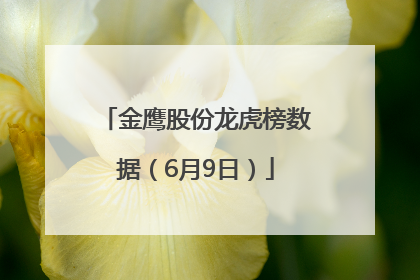 金鹰股份龙虎榜数据（6月9日）