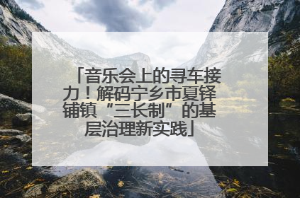 音乐会上的寻车接力！解码宁乡市夏铎铺镇“三长制”的基层治理新实践