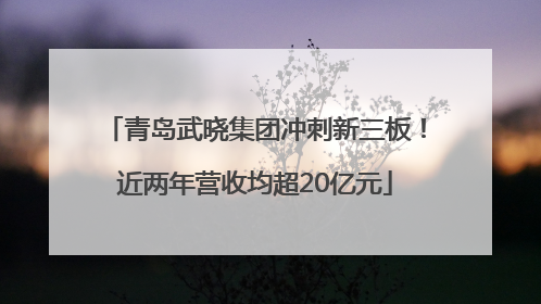 青岛武晓集团冲刺新三板！近两年营收均超20亿元
