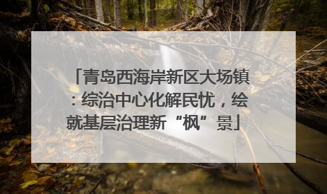 青岛西海岸新区大场镇：综治中心化解民忧，绘就基层治理新“枫”景