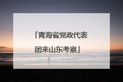 青海省党政代表团来山东考察