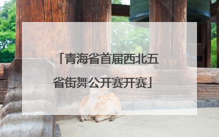 青海省首届西北五省街舞公开赛开赛