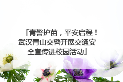 青警护苗，平安启程！武汉青山交警开展交通安全宣传进校园活动
