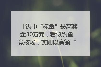 钓中“标鱼”最高奖金30万元，看似钓鱼竞技场，实则以高额“回报”作“饵”……｜今晚九点半