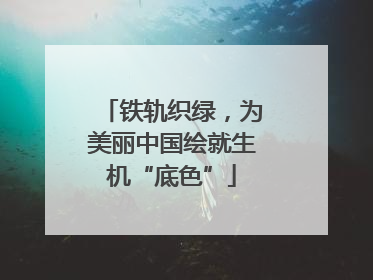 铁轨织绿，为美丽中国绘就生机“底色”