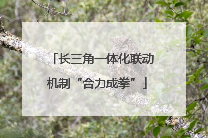 长三角一体化联动机制“合力成拳”