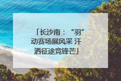 长沙南：“羽”动赛场展风采 汗洒征途竞锋芒