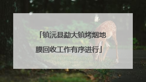镇沅县勐大镇烤烟地膜回收工作有序进行