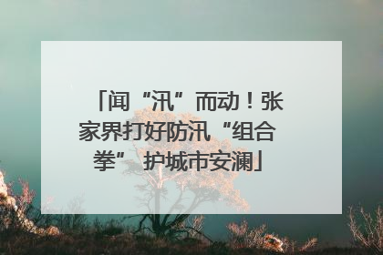 闻“汛”而动！张家界打好防汛“组合拳” 护城市安澜