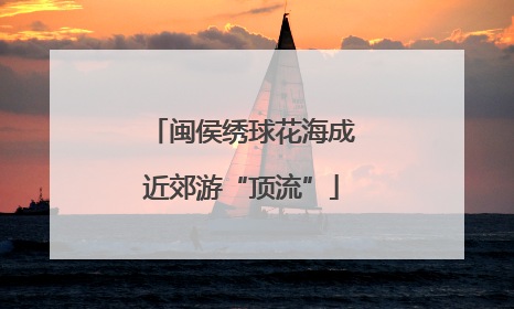 闽侯绣球花海成近郊游“顶流”