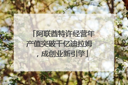 阿联酋特许经营年产值突破千亿迪拉姆，成创业新引擎