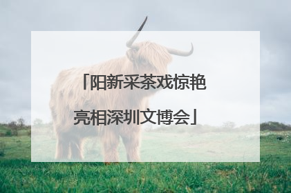 阳新采茶戏惊艳亮相深圳文博会