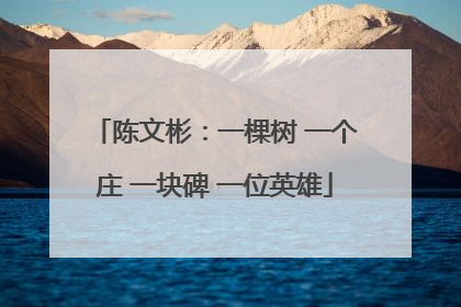 陈文彬：一棵树 一个庄 一块碑 一位英雄
