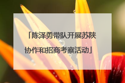 陈泽勇带队开展苏陕协作和招商考察活动