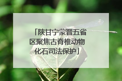 陕甘宁蒙晋五省区聚焦古脊椎动物化石司法保护