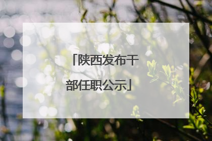 陕西发布干部任职公示