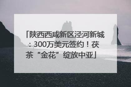 陕西西咸新区泾河新城：300万美元签约！茯茶“金花”绽放中亚