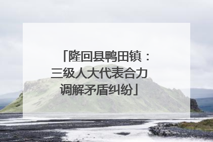 隆回县鸭田镇：三级人大代表合力调解矛盾纠纷