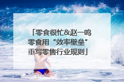 零食很忙&赵一鸣零食用“效率壁垒”重写零售行业规则