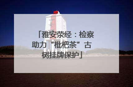 雅安荥经：检察助力“枇杷茶”古树挂牌保护