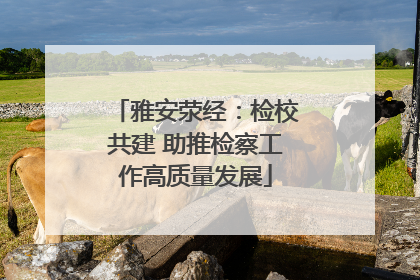 雅安荥经：检校共建 助推检察工作高质量发展